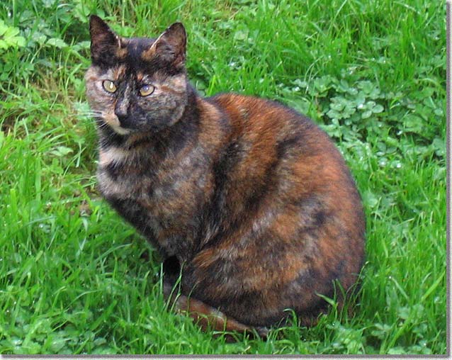 芝に座るベイビー・フリーダ